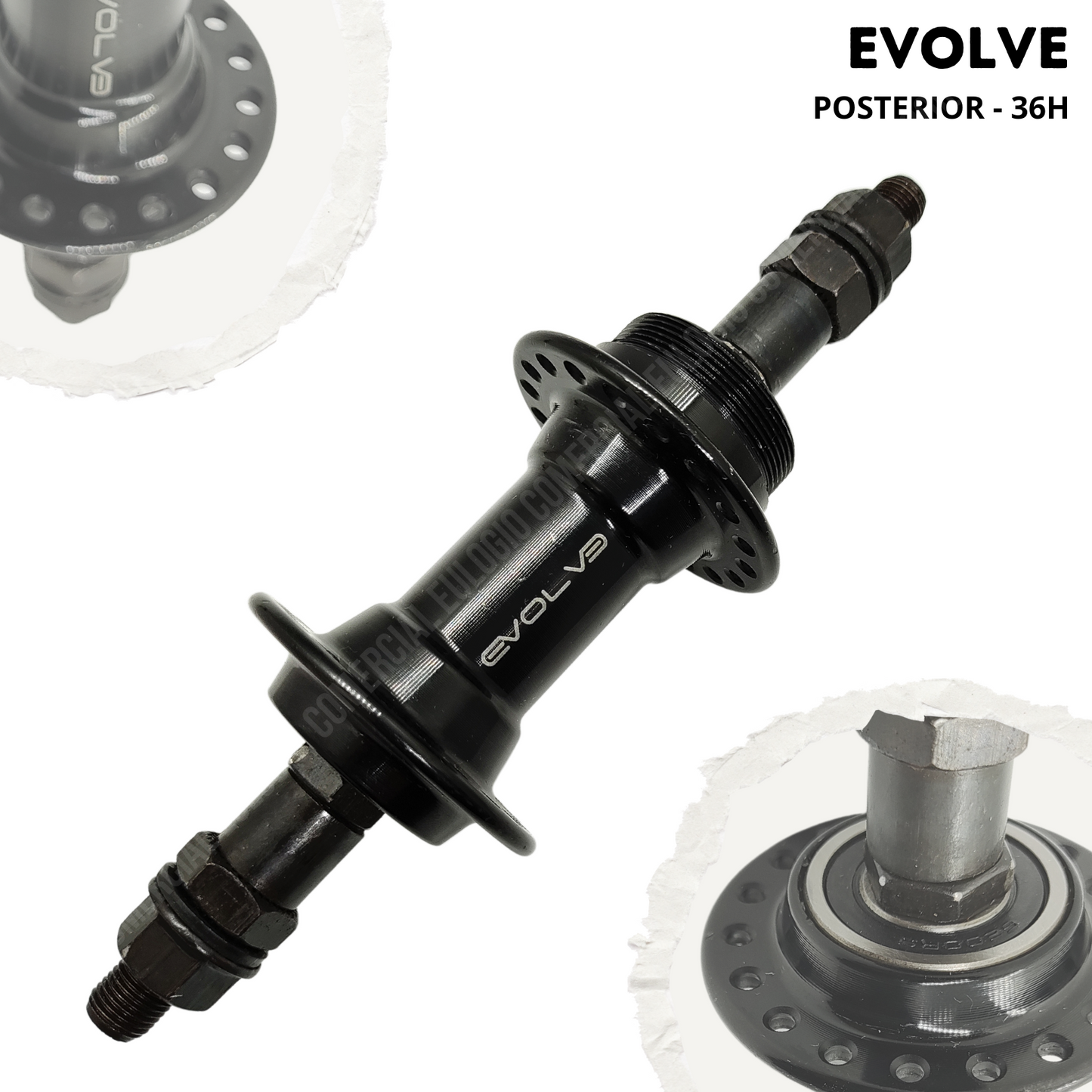 MAZA POSTERIOR DE ALUMINIO CON RODAJE 36H PARA BICICLETA - EVOLVE