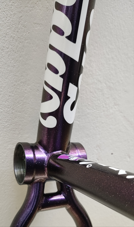 Servicio de PINTURA PARA BICICLETA